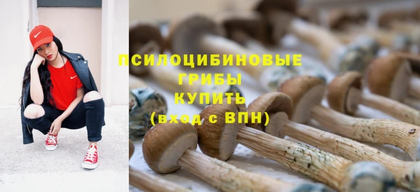 дмт Липки