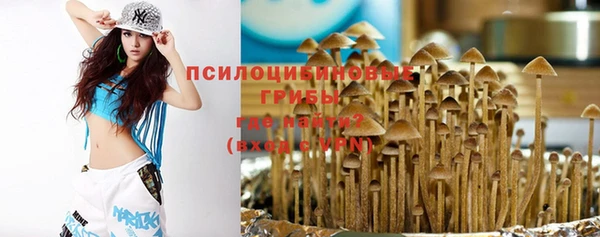 дмт Липки